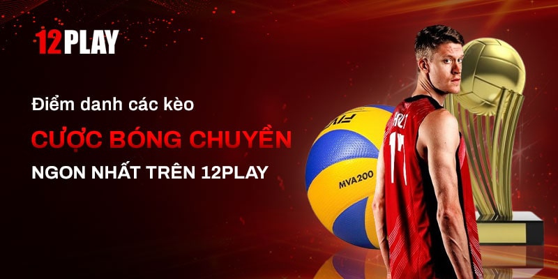 Các kèo cược bóng chuyền dễ ăn nhất