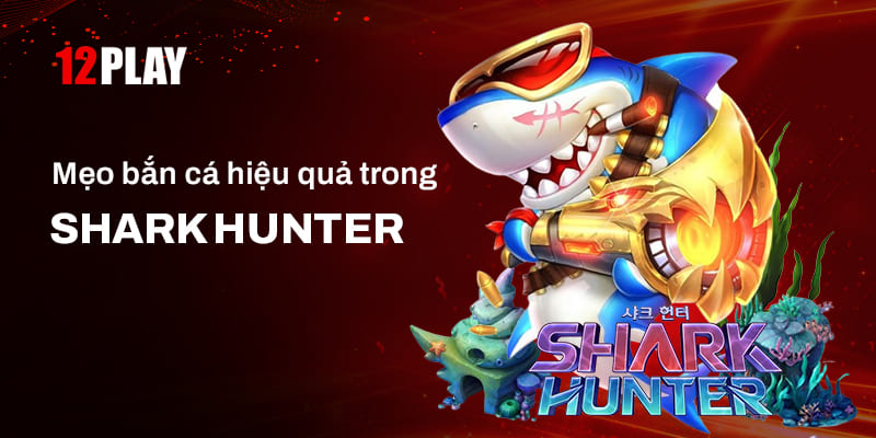 Mẹo chơi Shark Hunter hiệu quả săn được nhiều cá nhất